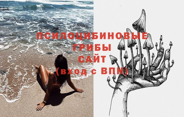 apvp Бронницы
