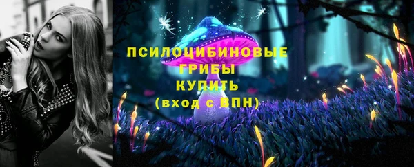 наркотики Бородино